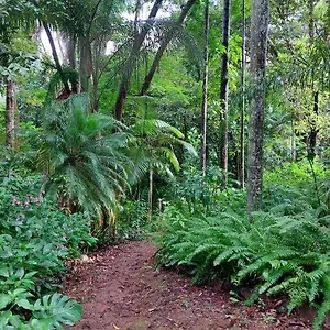 Rainforest Retreat-fireplace-bbq-3 Acres- Nambour